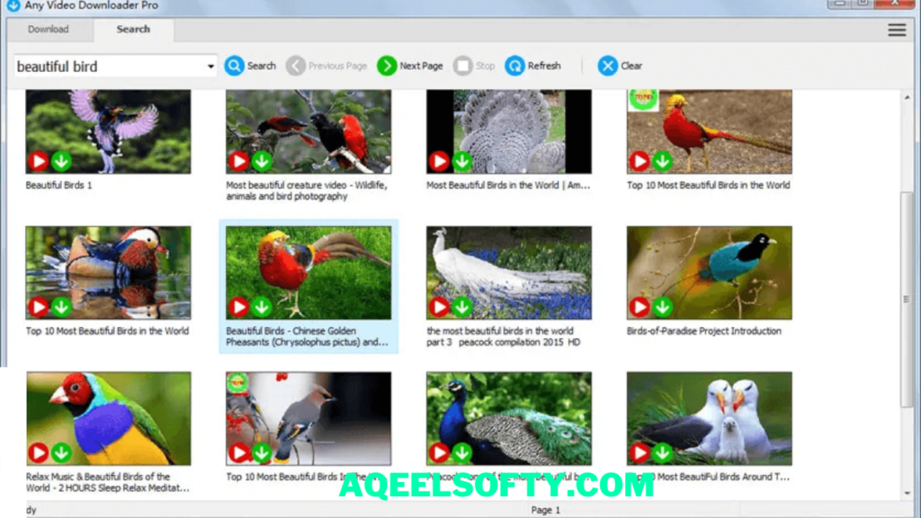 Any Video Downloader Pro Full Free Download